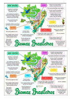 BIOMAS BRASILEIROS 1.pdf